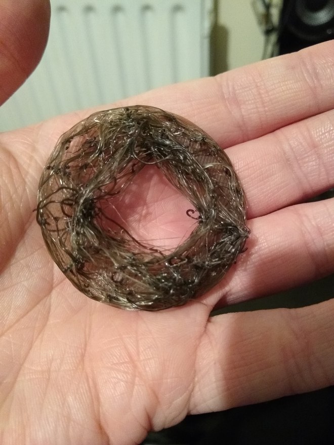 MVIMG_20190205_225606983